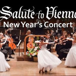Salute to Vienna