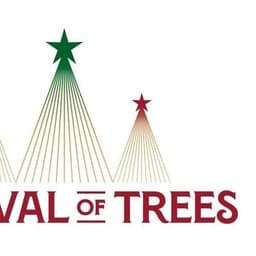 SeeTrees