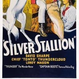 Silver Stallion