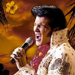 Steve Michaels