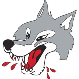Sudbury Wolves