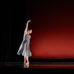 The Aspen Ballet