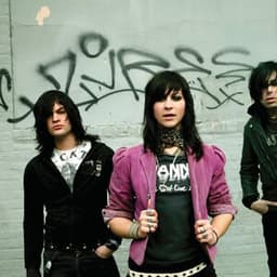 The Damones