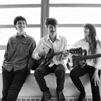 The Felice Brothers