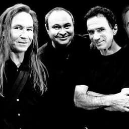 The Fools