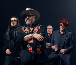 The Mavericks