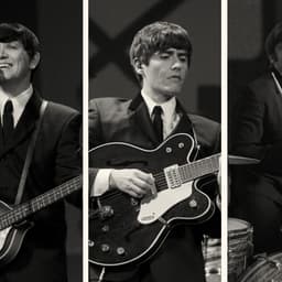 The Mersey Beatles