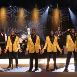 The Motowners