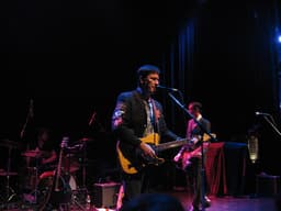 The Mountain Goats