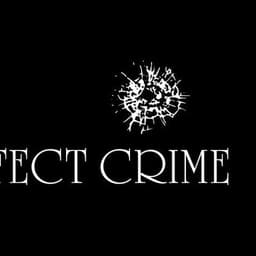 The Perfect Murder