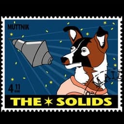 The Solids