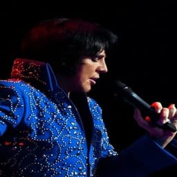 The Ultimate Elvis