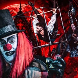 The Vampire Circus