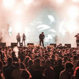 Total Vibez Live