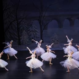 Twin Cities Ballet