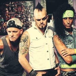 Velcro Pygmies