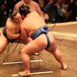World Elite Sumo