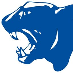 York Panthers