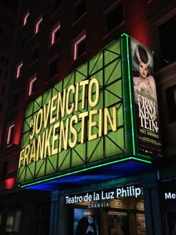 Young Frankenstein