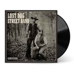 Lost Dog Street Band