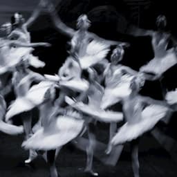 Moxie Dance Collective