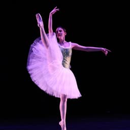 Northern Virginia Ballet