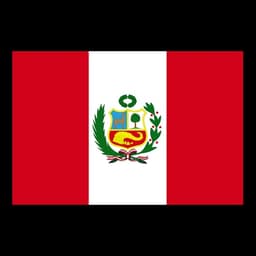 Peru Men's National Team