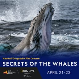 Secrets of the Whales in Concert