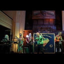 The Diamond Project Band