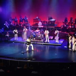 The Elvis Experience