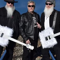 ThunderBeard