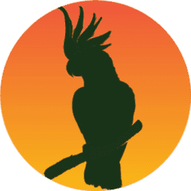 Kakadu Dance Art Academy